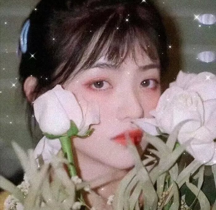 傻王闯天下