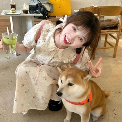 危险女婿